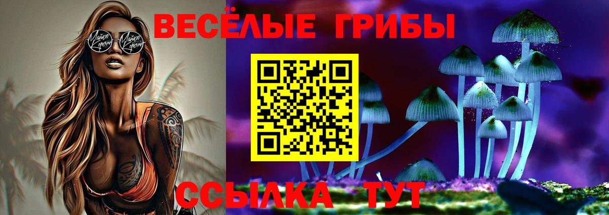 Галлюциногенные грибы мицелий  Зеленогорск 